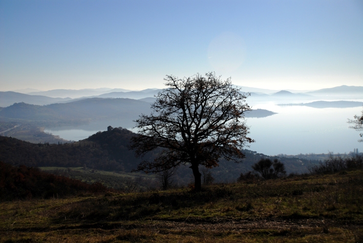 Clicca qui per vedere l'immagine in dettaglio